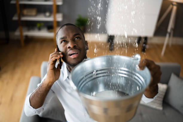 Best Flood damage cleanup  in Hendersonville, NC