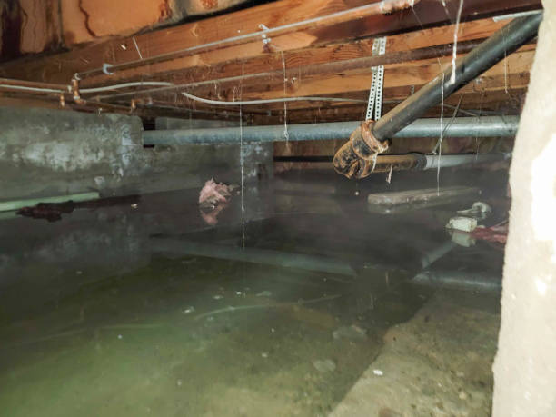 Best Fire Damage Restoration  in Hendersonville, NC