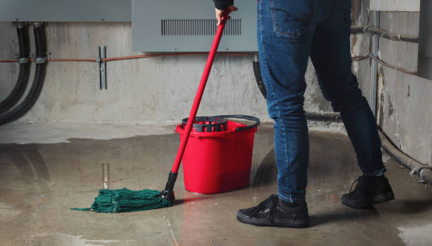 Best Water damage restoration near me  in Hendersonville, NC