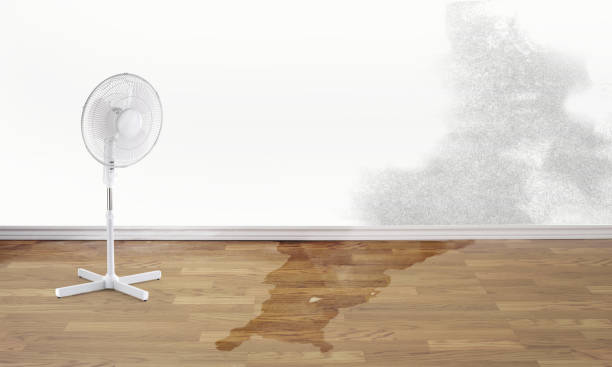 Best Residential water damage restoration  in Hendersonville, NC