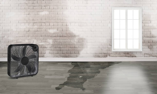  Hendersonville, NC Water damage restoration Pros