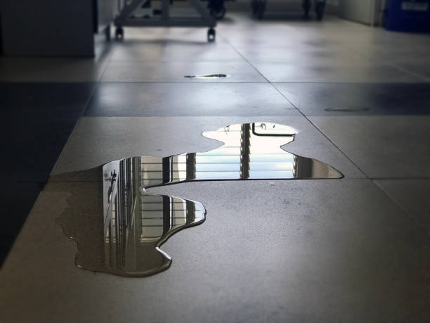 Best Water damage cleanup near me  in Hendersonville, NC