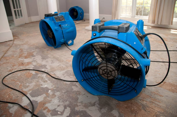 Best Commercial water damage restoration  in Hendersonville, NC