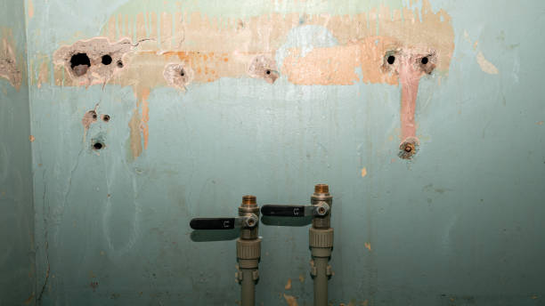 Best Water damage restoration near me  in Hendersonville, NC
