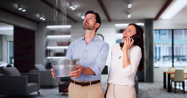 Best Flood restoration services  in Hendersonville, NC