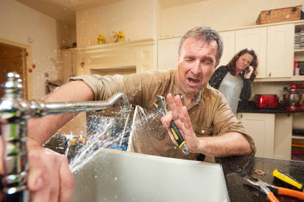 Best Basement water damage restoration  in Hendersonville, NC